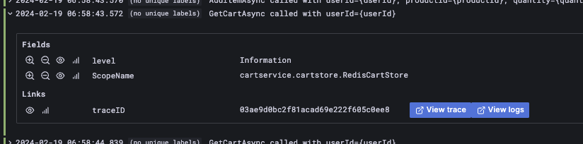 Example of extra fields on logs query